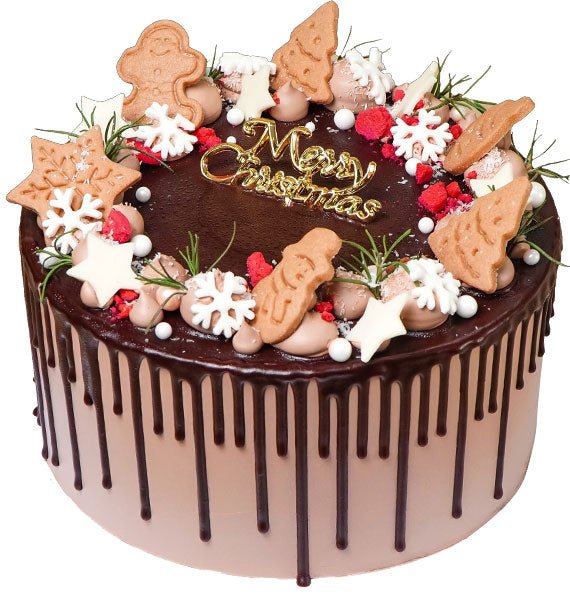 Choco Wonderland Xmas Cake Vietnam