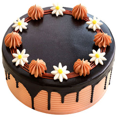 Collection image for: Chocolate Cakes