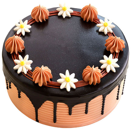 Chocolate Cake - HCM ONLY