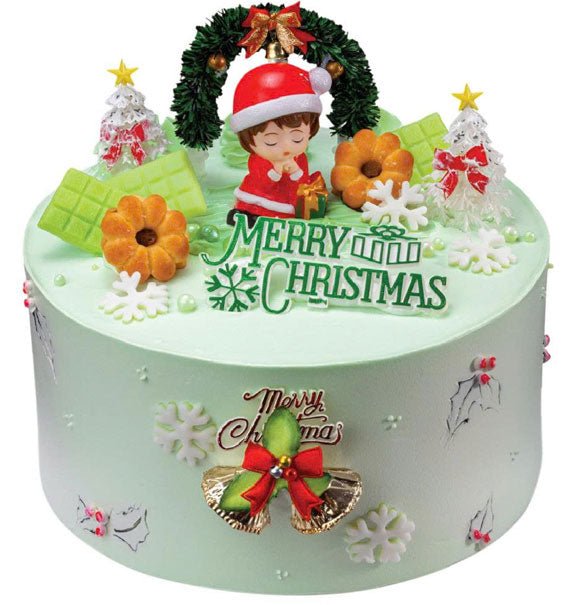 Christmas Holiday Cake Vietnam