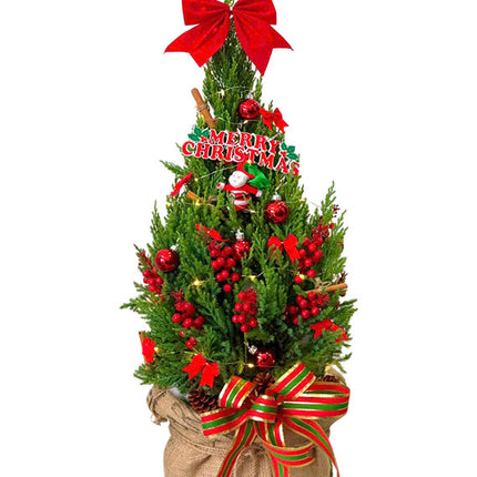 Christmas Tree Gift Vietnam