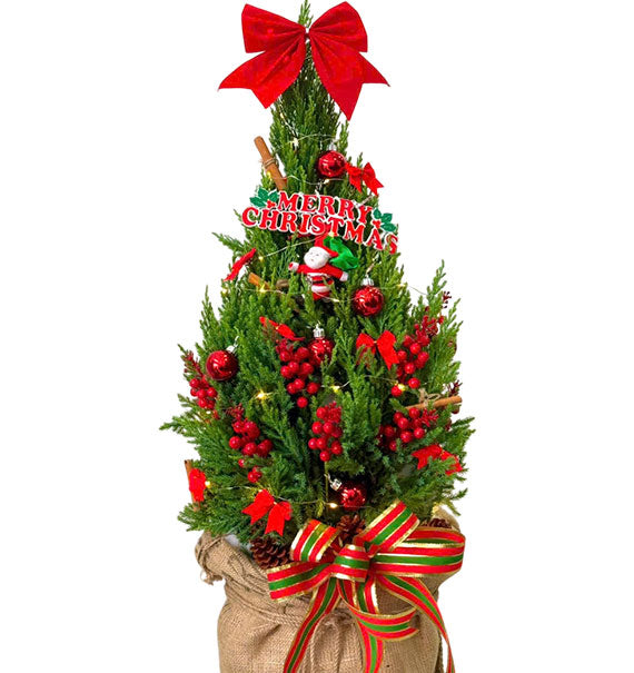 Christmas Tree Gift Vietnam
