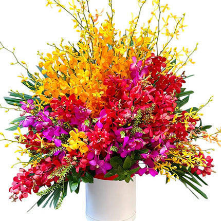 Colorful Orchid Basket For Mother's Day Vietnam