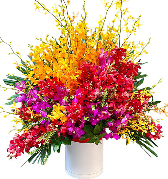 Colorful Orchid Basket For Mother's Day Vietnam