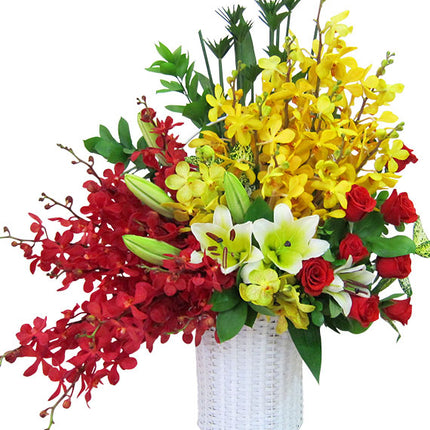 Congratulation Orchid Basket Vietnam