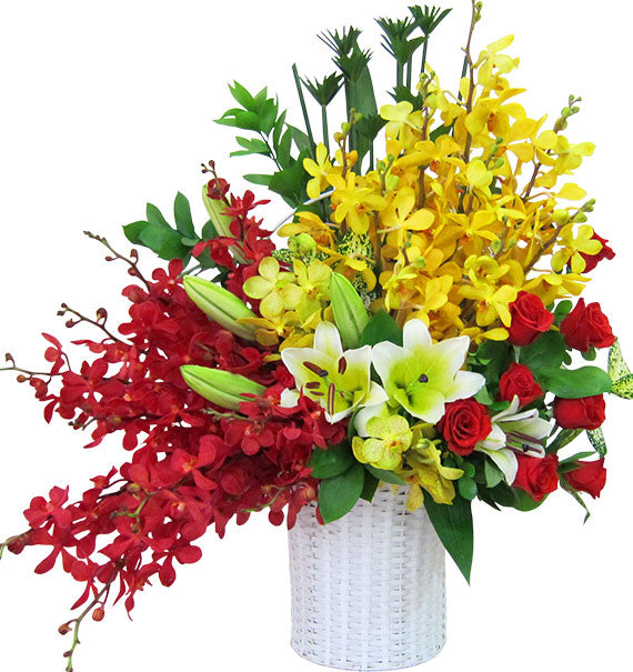 Congratulation Orchid Basket Vietnam