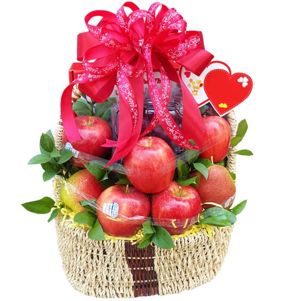 Dad’s Healthy Choice Fruit Gift Vietnam