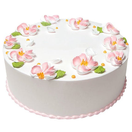 Dairy Queen Ice Cream Cake DQ-029 Vietnam