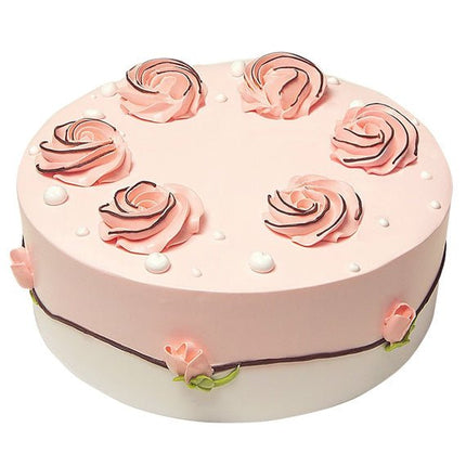 Dairy Queen Ice Cream Cake DQ-045S Vietnam