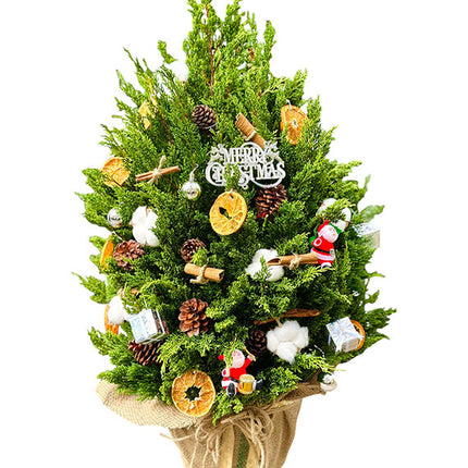 Decorated Xmas Tree Vietnam