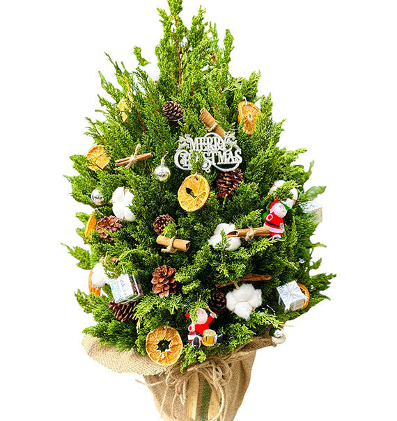 Decorated Xmas Tree Vietnam