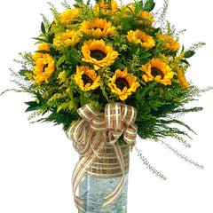 Dewdrop Sunflowers Vietnam