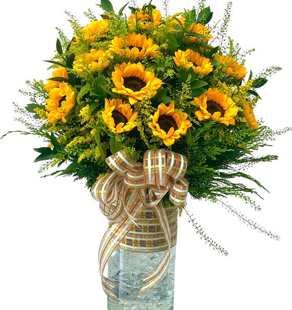 Dewdrop Sunflowers Vietnam