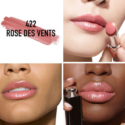 Dior Addict Lipstick Rouge Shine 422 Rose Des Vents

