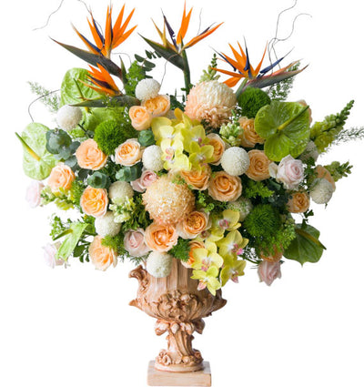 Elegant Appreciation