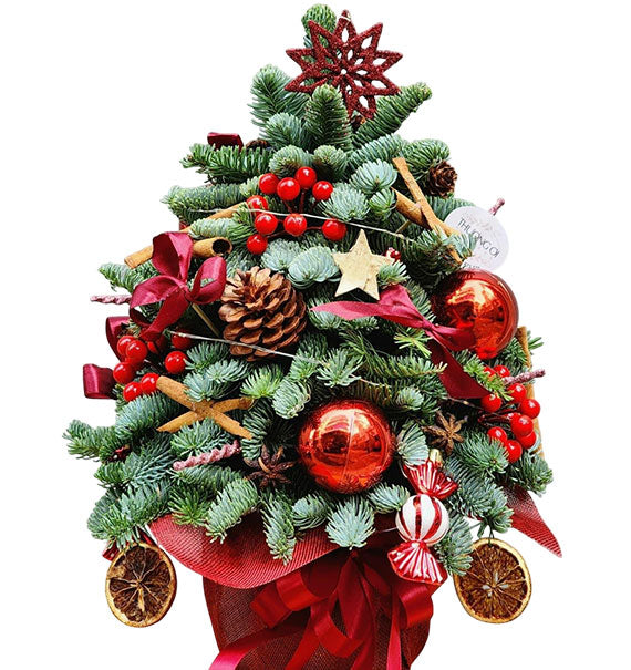 Enchanted Xmas Tree Vietnam