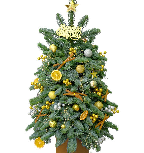 Everglow Xmas Tree Vietnam