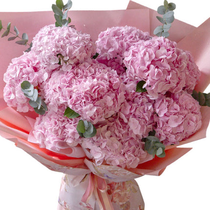 Fairy Blossom Hydrangeas Vietnam