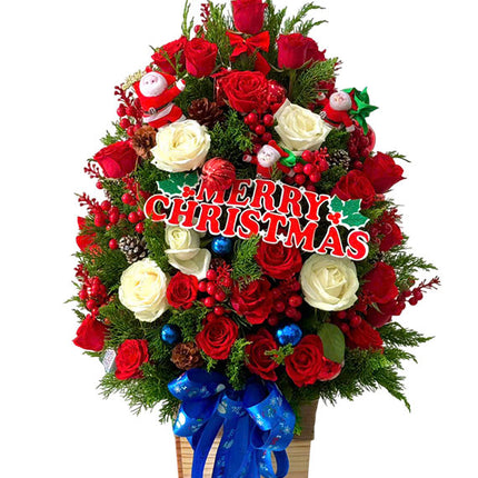 Fairyland Fir Xmas Tree Vietnam