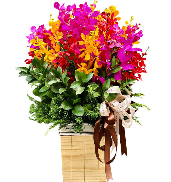 Father’s Day Orchid Basket Vietnam