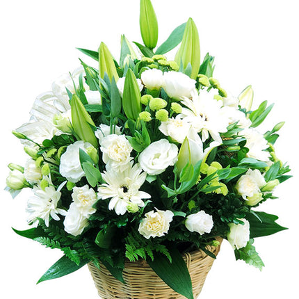 First Love Story Flowers Vietnam