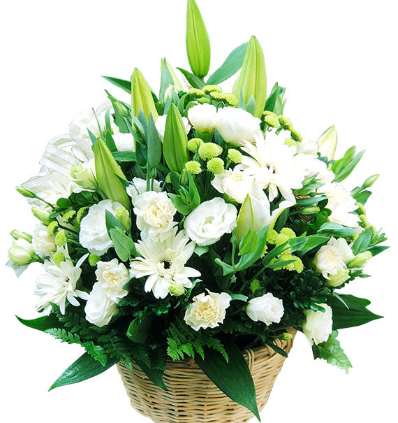 First Love Story Flowers Vietnam