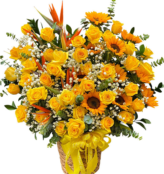 Fool Again Flowers Vietnam