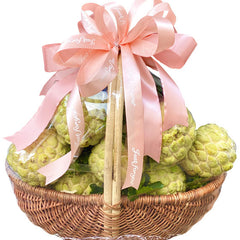 Fresh Custard Apple Basket Vietnam