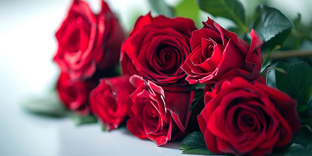 fresh flower image