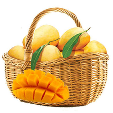 Fresh Mango Basket Vietnam