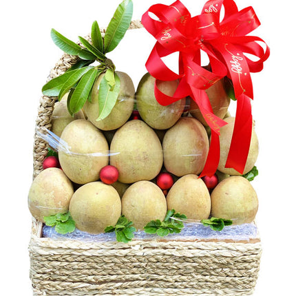 Fresh Sapodilla Basket Vietnam