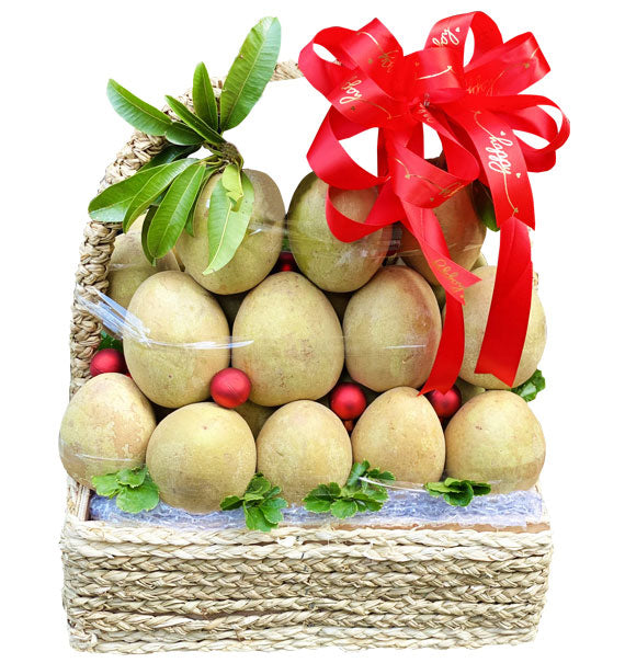 Fresh Sapodilla Basket Vietnam