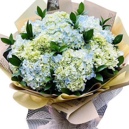 Get Well Hydrangea Bouquet Vietnam