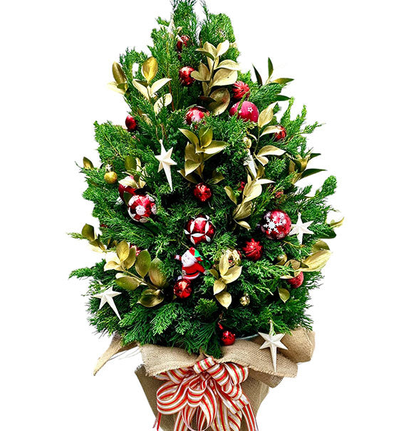 Golden Christmas Tree Vietnam