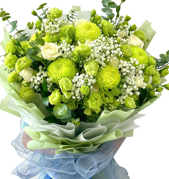 Green Christmas Flowers Vietnam