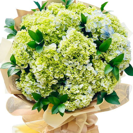 Green Hydrangea Bouquet Vietnam