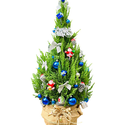 Happy Christmas Tree Vietnam