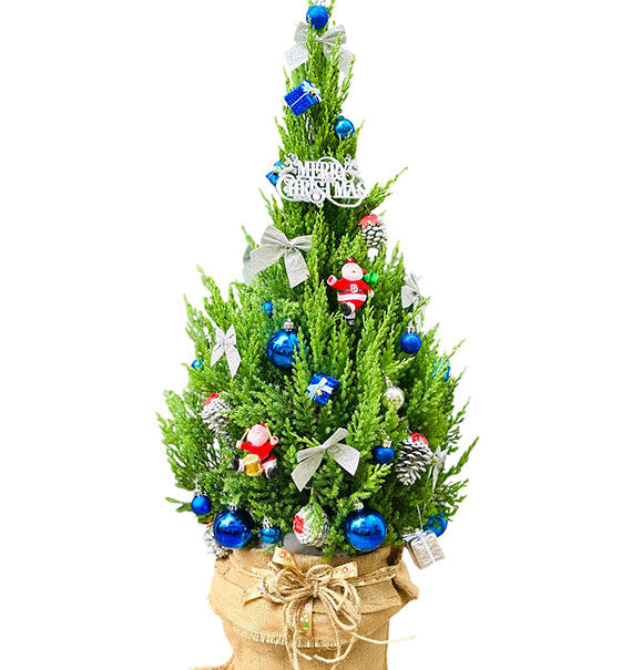 Happy Christmas Tree Vietnam