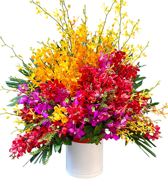 Happy Days Flowers Vietnam