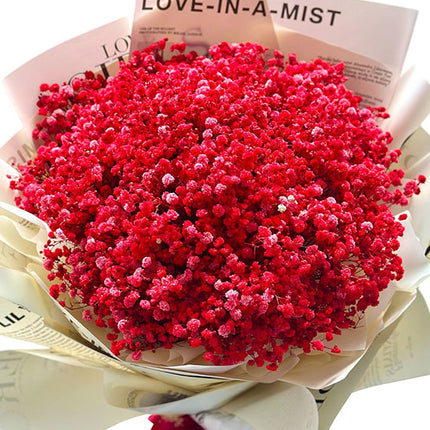 Heartbeats of Valentine's Day Vietnam