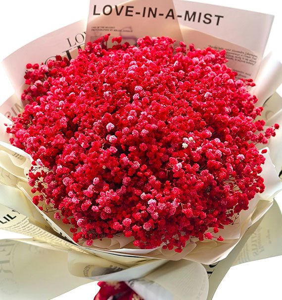 Heartbeats of Valentine's Day Vietnam