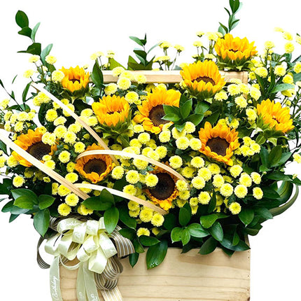 Hope For Tomorrow Sunflowers Vietnam