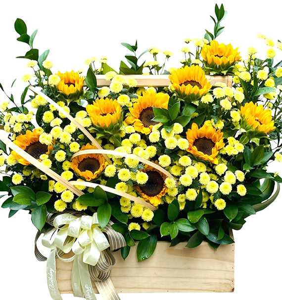 Hope For Tomorrow Sunflowers Vietnam