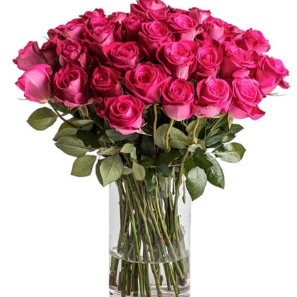 Hot Pink Ecuadorian Roses In Vase Vietnam