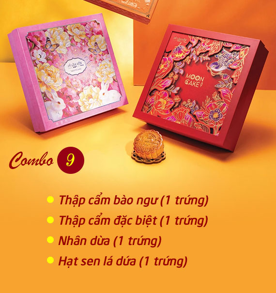 Hy Lam Mon Mooncake Vietnam Combo #9