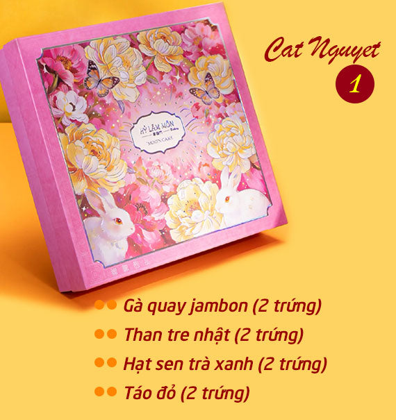 Hy Lam Mon Mooncake Vietnam Combo Cat Nguyet #1