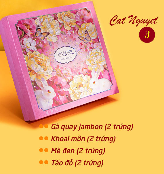 Hy Lam Mon Mooncake Vietnam Combo Cat Nguyet #3
