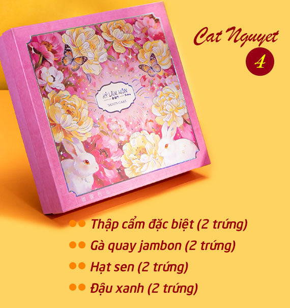 Hy Lam Mon Mooncake Vietnam Combo Cat Nguyet #4