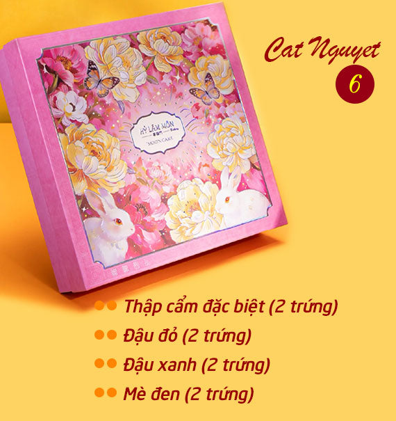 Hy Lam Mon Mooncake Vietnam Combo Cat Nguyet #6