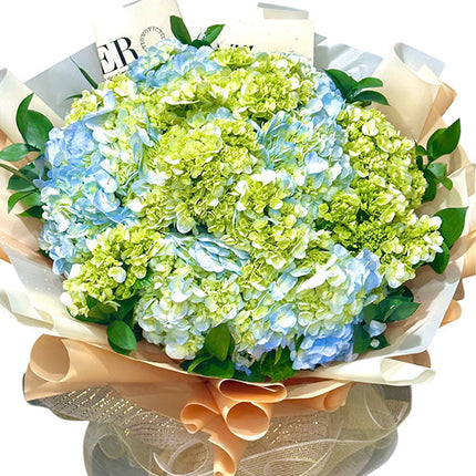 Hydrangea Flower Delivery Vietnam
